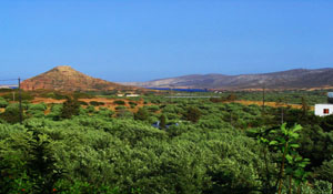 landscapes front of the sunrise apartments
